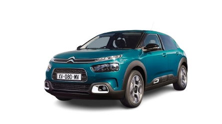 C4 Cactus